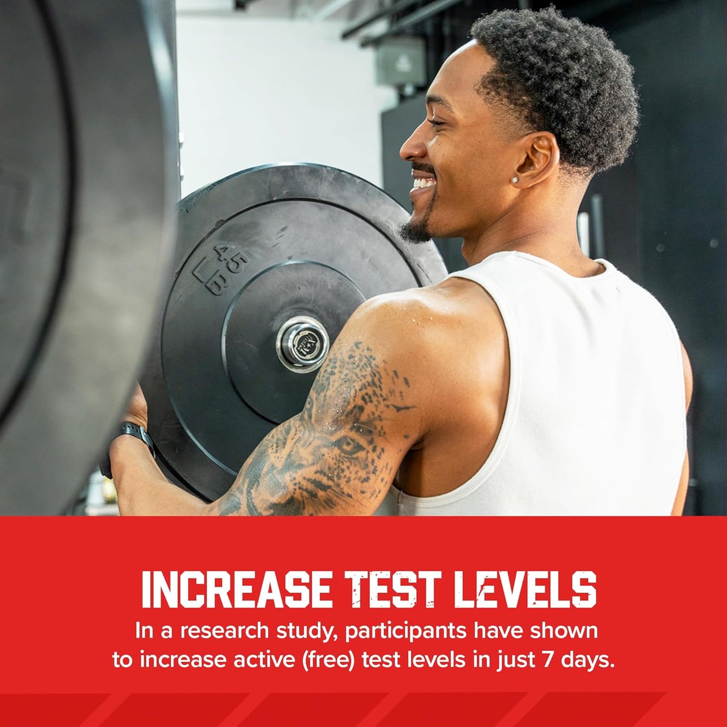 Booster de testostérone Six Star Muscletech