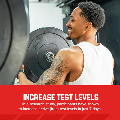 Booster de testostérone Six Star Muscletech